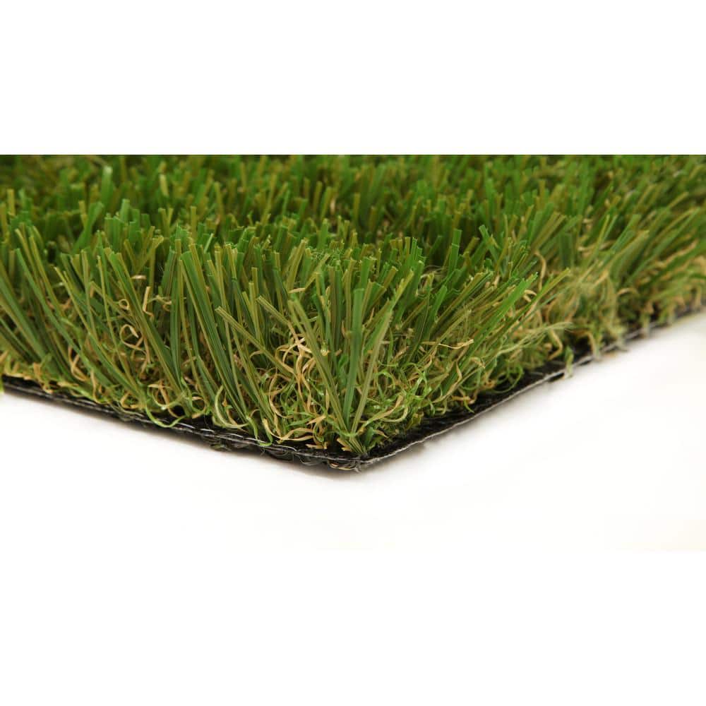 3D-W Premium 65 Fescue 15 ft. Wide x Cut to Length Green Artificial Grass Carpet - Hercitys