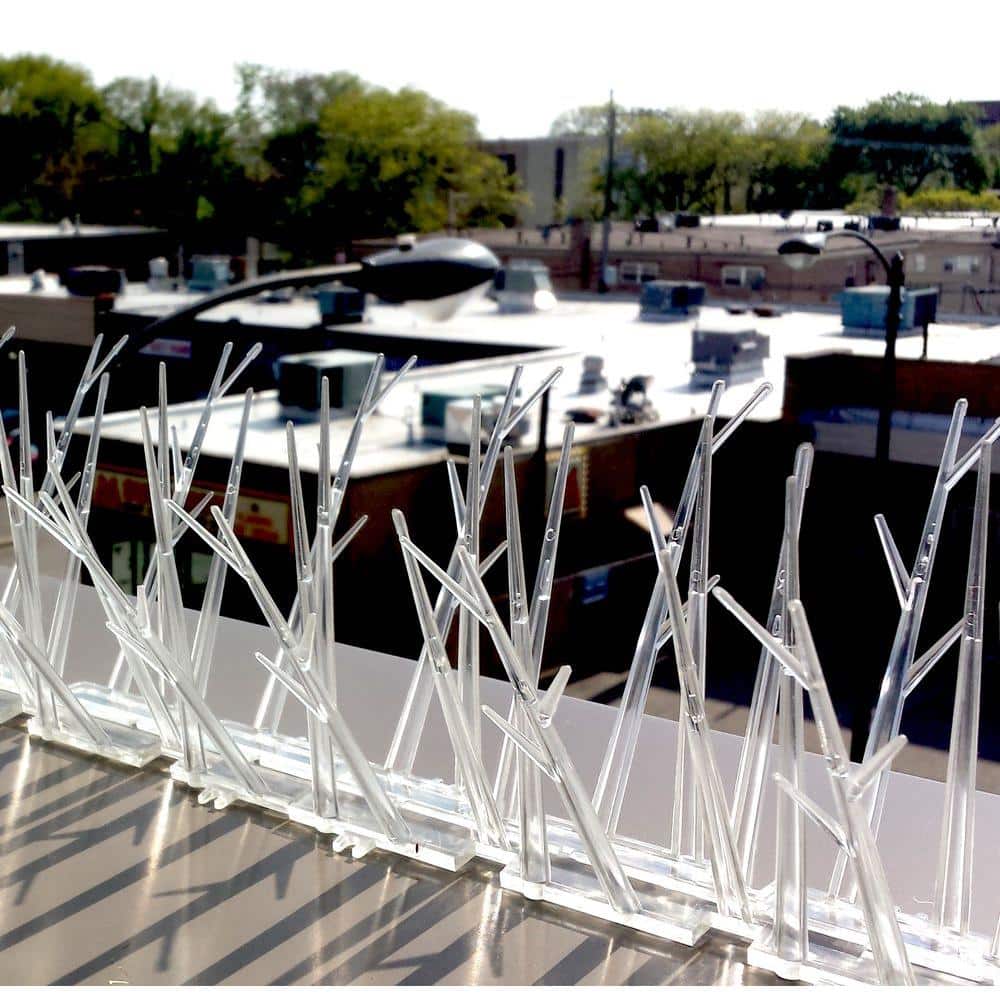 10 ft. Original Plastic Bird Spikes Bird Control Kit - Hercitys