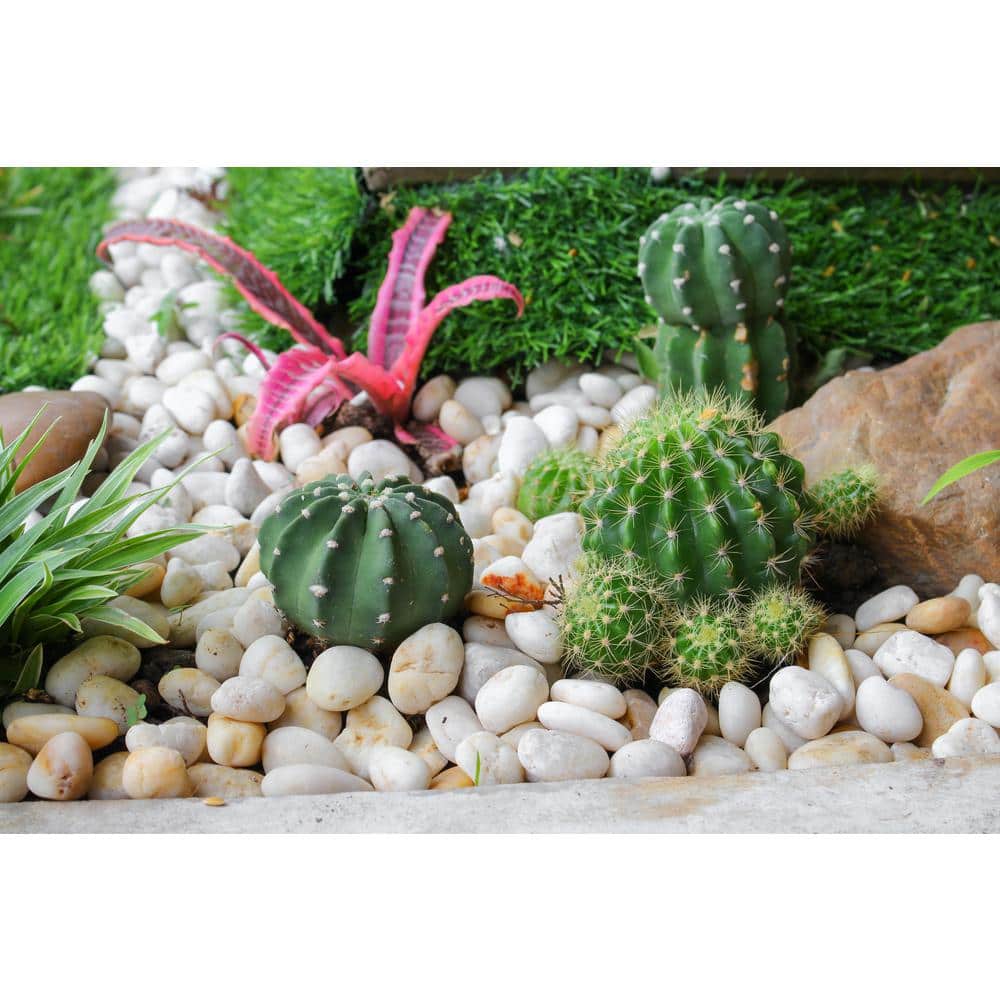 0.125 cu. ft. 2 in. – 3 in. 10 lbs. White Polished Rock Pebbles for Planters, Gardens, Aquariums and More - Hercitys