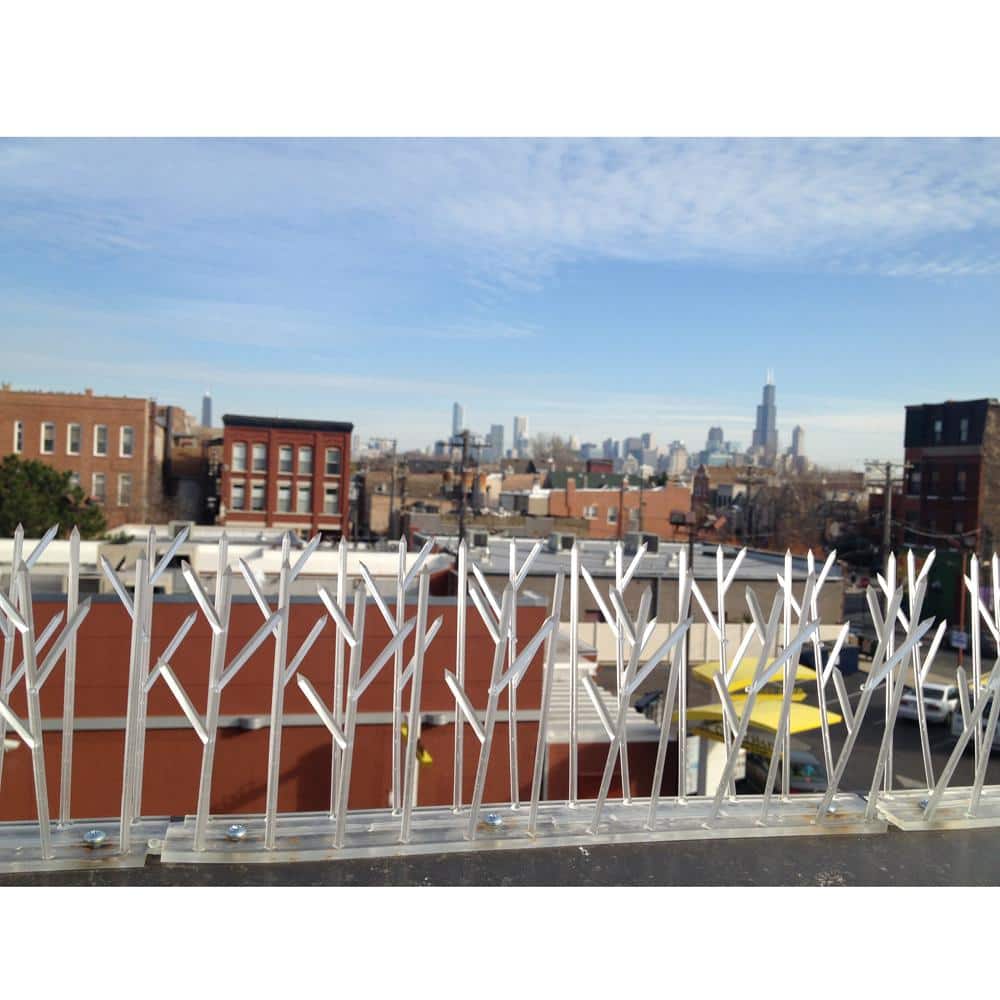 50 ft. Original Plastic Bird Spikes Kit Pigeon Repellent - Hercitys