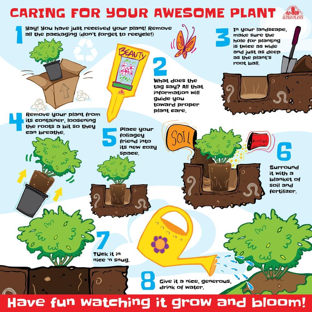 Red Yucca (Hesperaloe Parviflora) Outdoor Plant and Succulent Garden Perennial in 3 Gal. Grower Pot - Hercitys