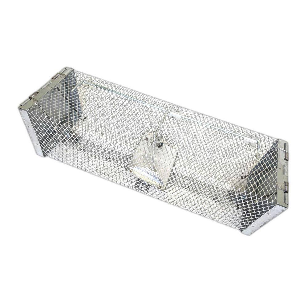 Live Mouse Cage 2-Door Trap (4-Pack) - Hercitys