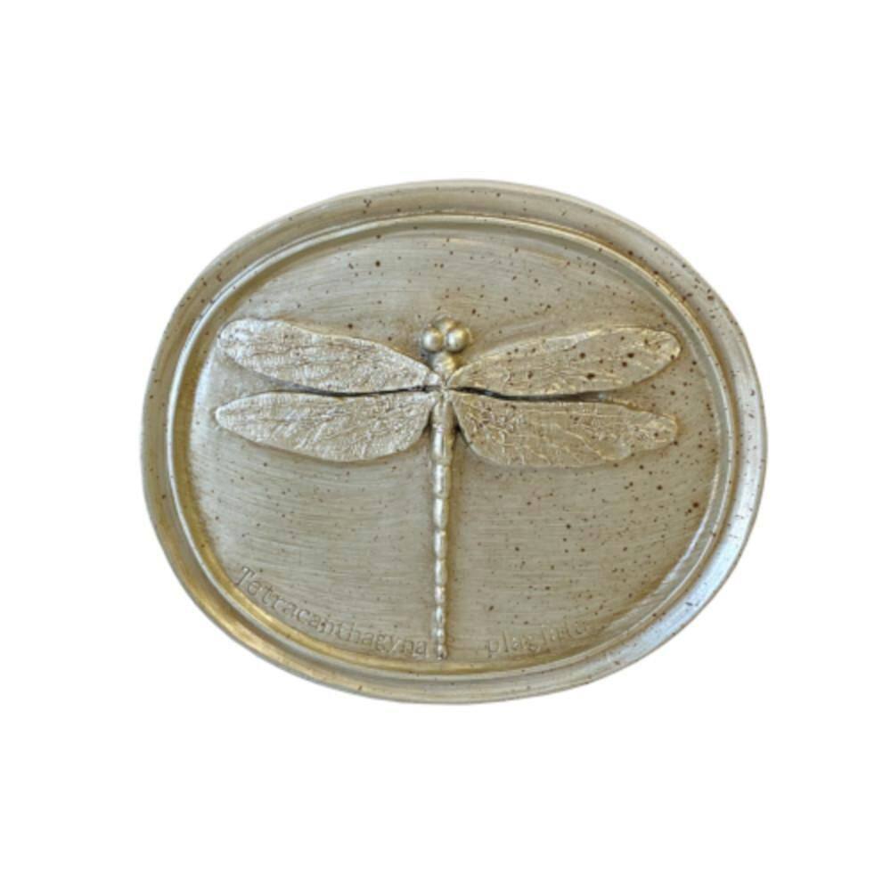 Cristal Color Resin 8 in. W x 7 in. H Oval Entomology Insect Plaques, Home Wall Decor (Set of 3) - Hercitys