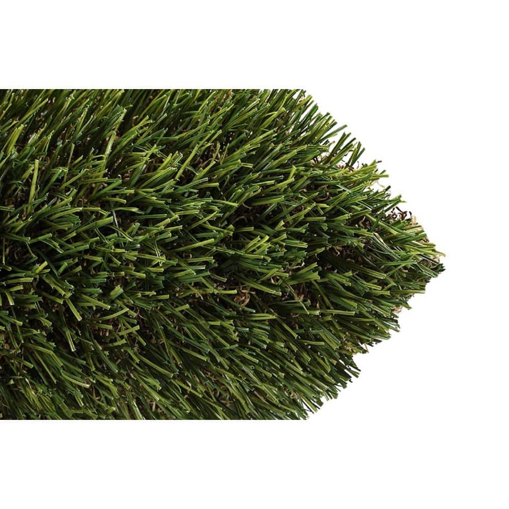 Nuevo 15 ft. W x Cut to Length Field Green Artificial Grass Carpet - Hercitys
