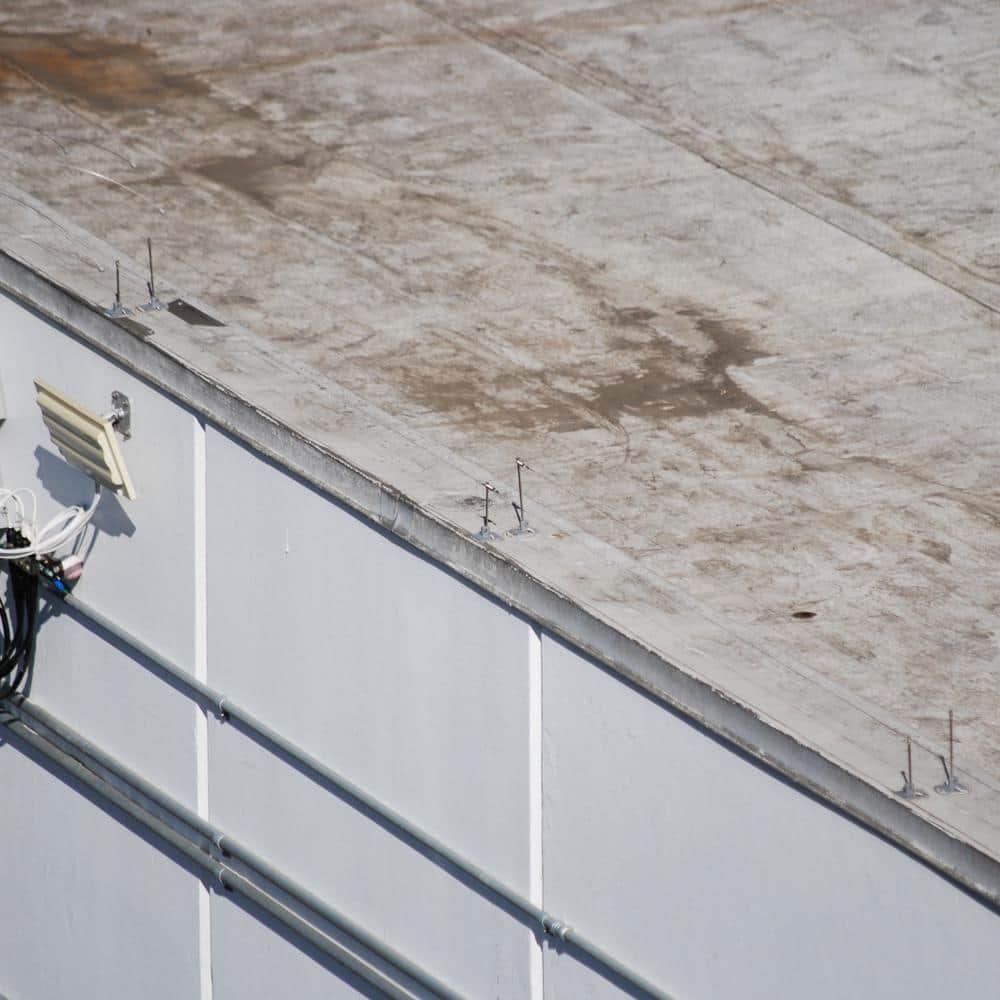 Bird Wire Bird Deterrent 500 ft. Stainless Steel Wire Roll, Silver - Hercitys