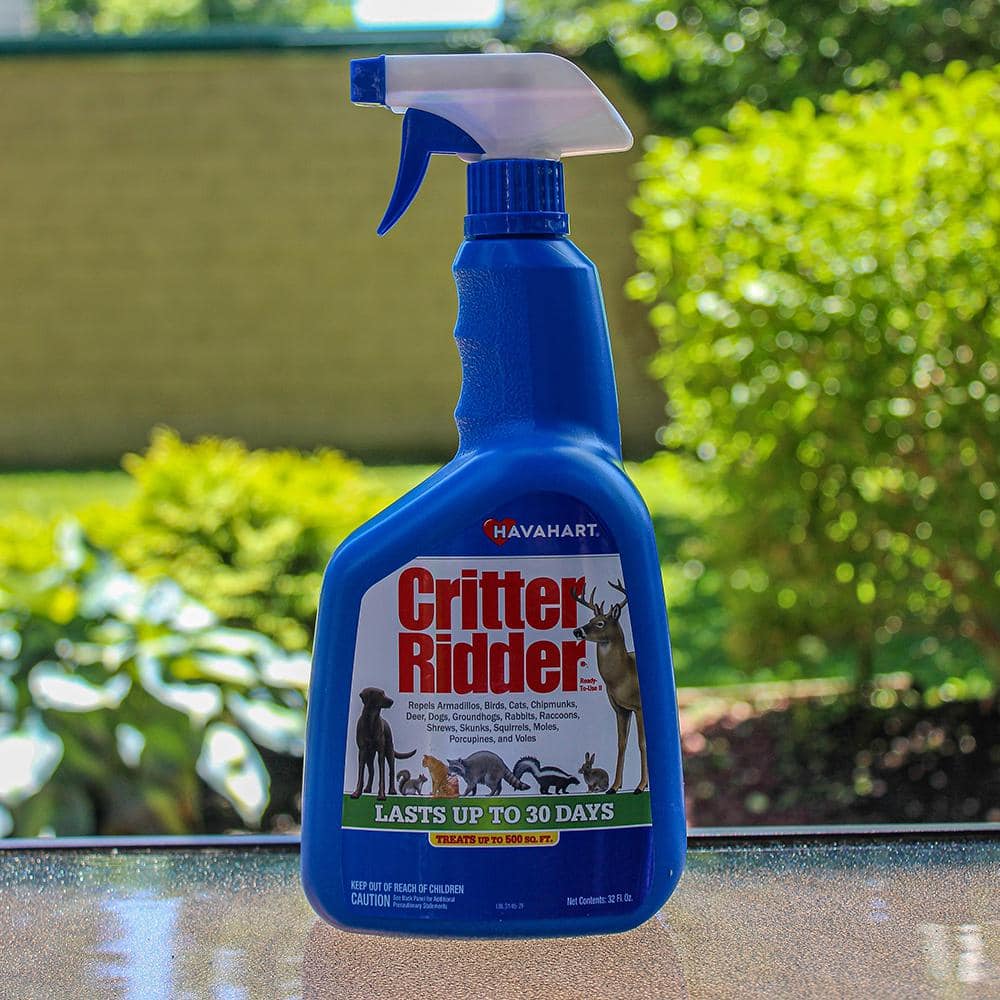 Critter Ridder II Outdoor Natural Animal Repellent Spray for Moles, Deer, Cats, Dogs, Rabbits, Skunks, and Other Rodents - Hercitys