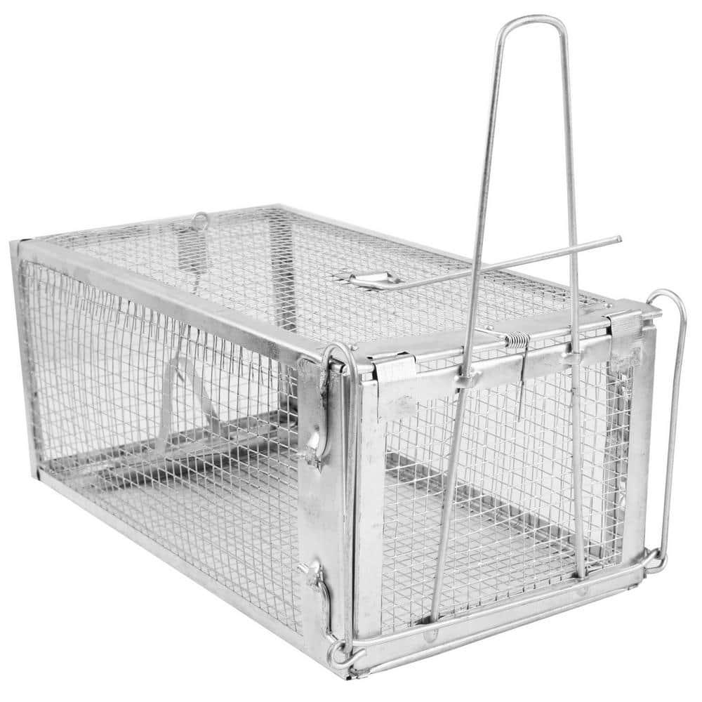 Rat Trap Cage Humane Live Rodent Trap Cage Mouse Control Bait Catch That Work for Indoor and Outdoor Small Animal - Hercitys