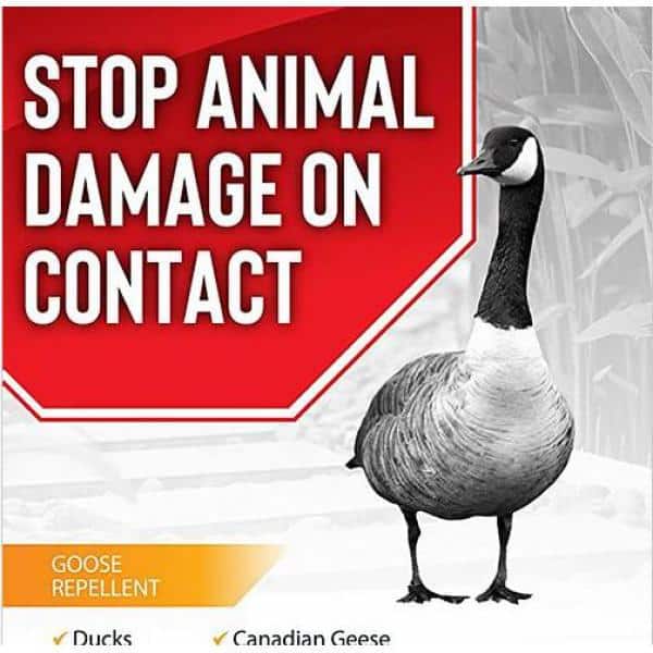 Goose Stopper Animal Repellent, 32 oz. Concentrate - Hercitys