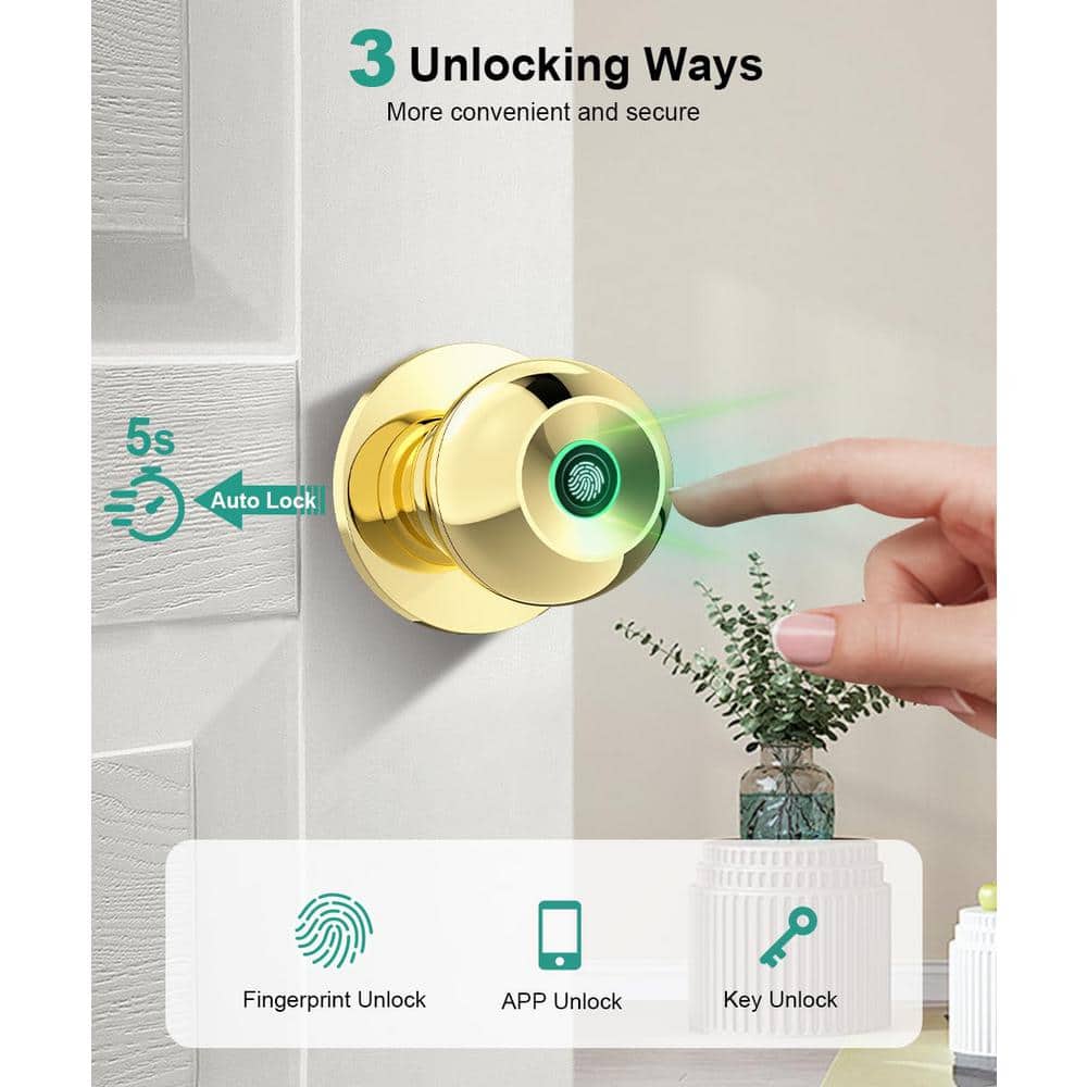 Smart Biometric Fingerprint Door Knob in Polished Brass - Hercitys