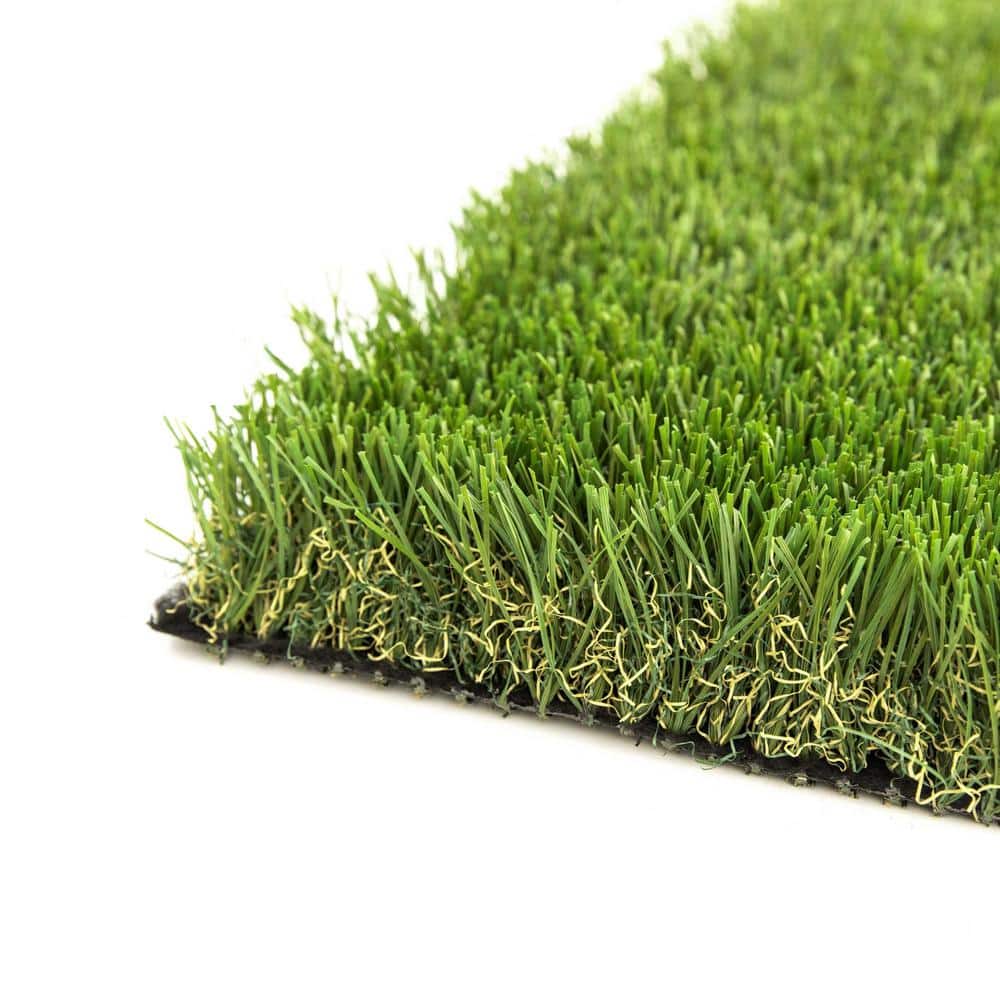 Mastiff 50 11 ft. Wide x Cut to Length Green Artificial Grass Carpet - Hercitys