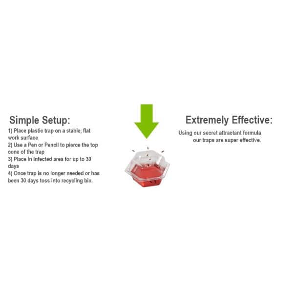 Drop-Ins Fruit Fly Traps (6-Pack) - Hercitys