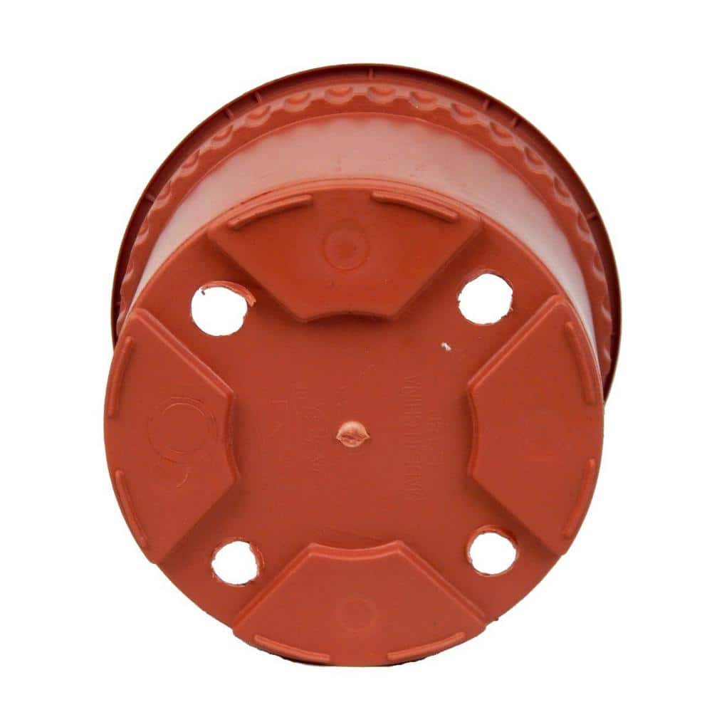 6 in. Terra Cotta Colored Plastic Pots (5-Pack) - Hercitys