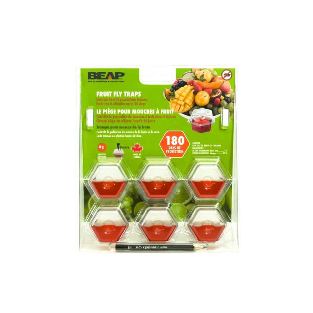Drop-Ins Fruit Fly Traps (6-Pack) - Hercitys
