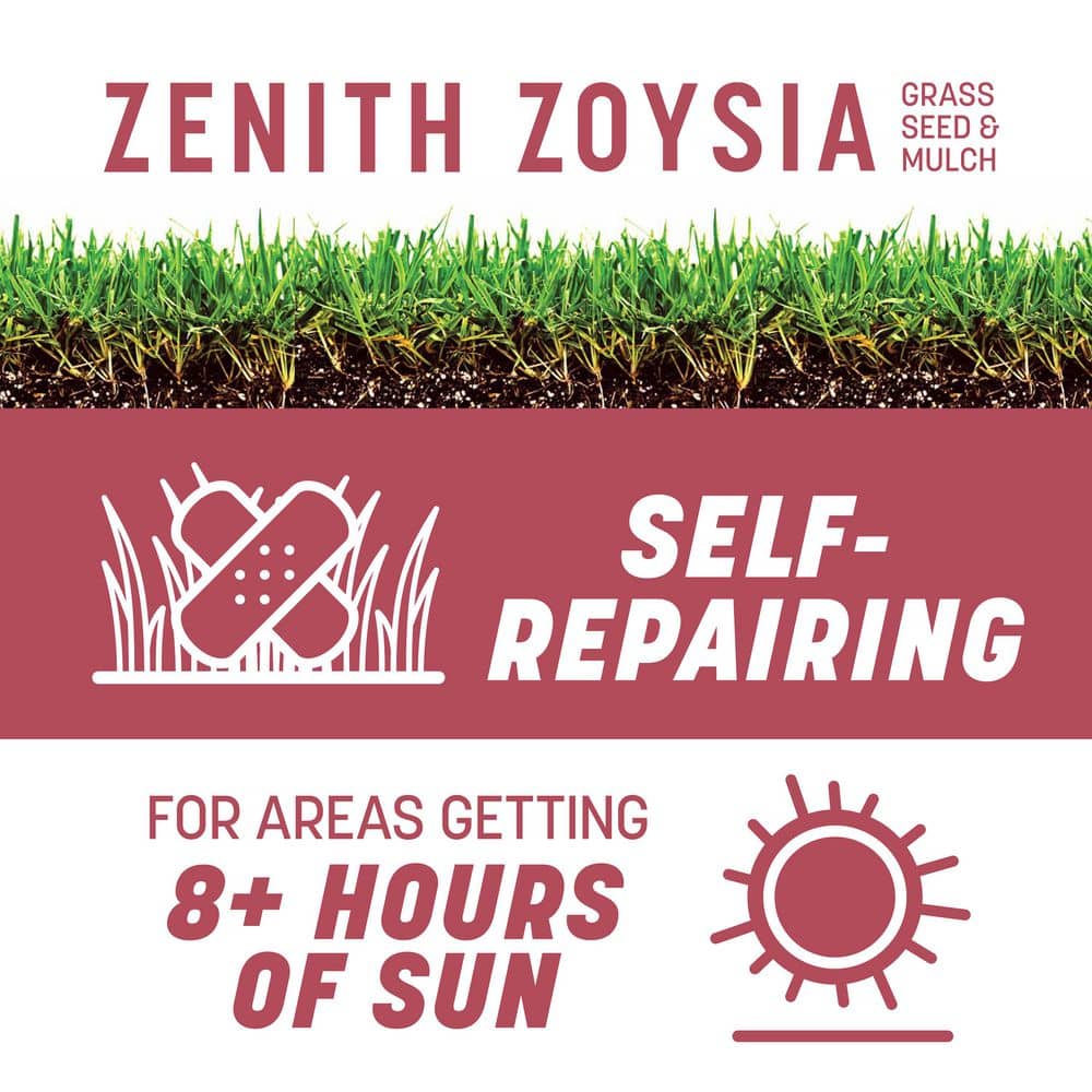 Zenith Zoysia 5 lb. 1,000 sq. ft. Grass Seed and Mulch - Hercitys