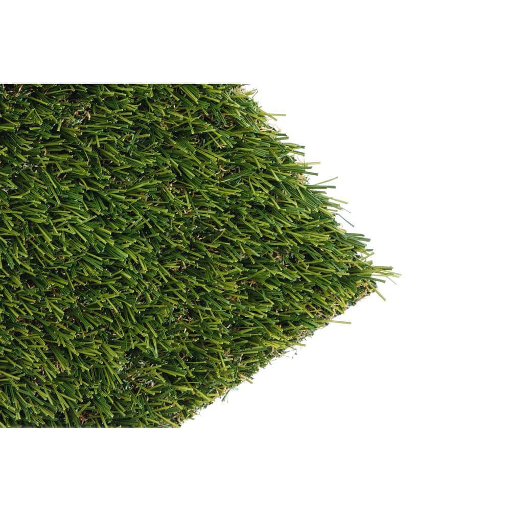 Bonita 15 ft. Wide x Cut to Length Green Artificial Grass Carpet - Hercitys