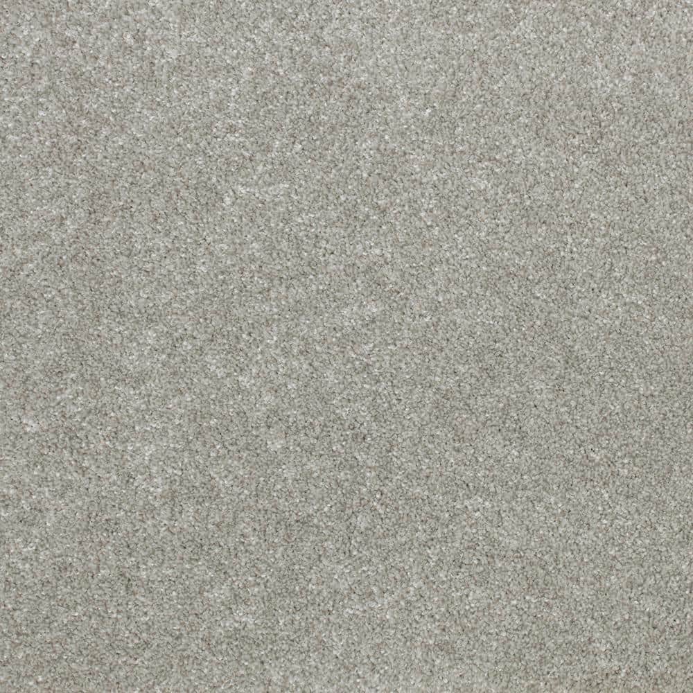 Tile & Rugs/Carpet/PetProof Carpet - Hercitys