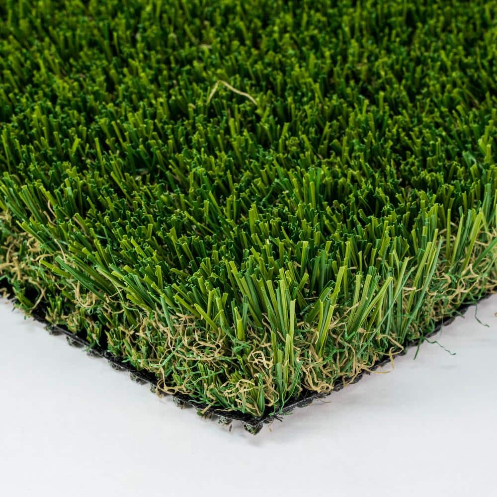 Santa Monica Fescue Pro 15 ft. W x Cut to Length Green Artificial Grass Turf - Hercitys