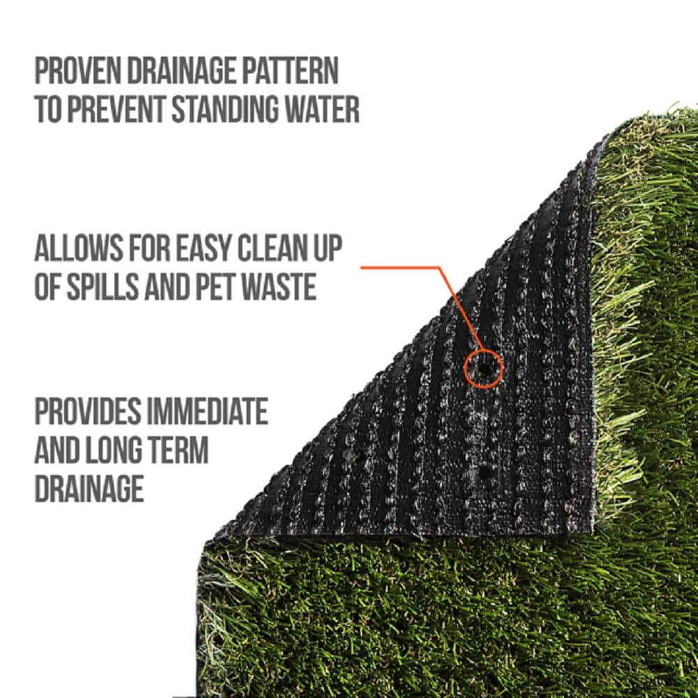 Nuevo 15 ft. W x Cut to Length Field Green Artificial Grass Carpet - Hercitys