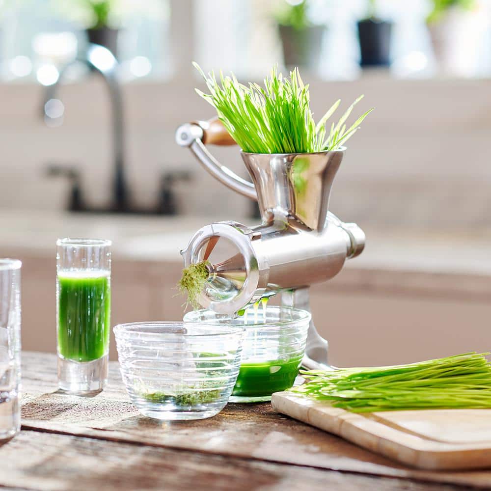 Stainless Steel Wheat Grass Juicer - Hercitys