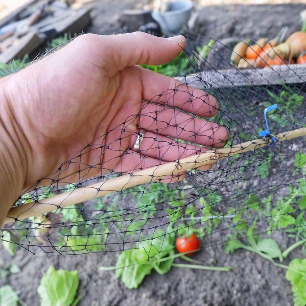 8 ft. x 100 ft. Outdoor Heavy Duty Garden Bird Netting Fence for Protection Fruit Trees Vegetable Plants Against Birds - Hercitys