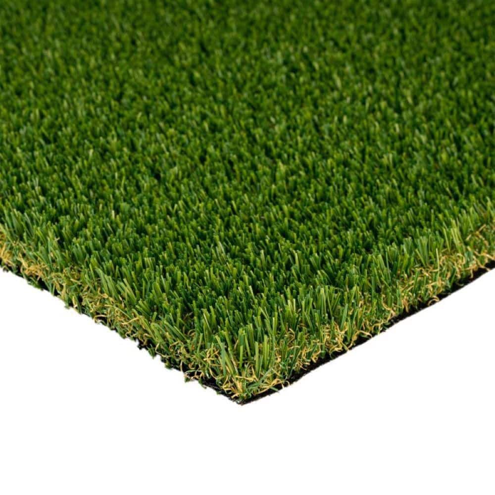 Premium Pet Turf 12 ft. Wide x Cut to Length Green Artificial Grass Turf - Hercitys