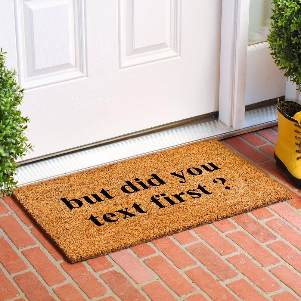 Did You Text First 24 in. x 36 in. Door Mat - Hercitys