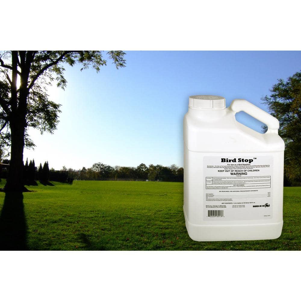 Bird Stop Repellent Concentrate Repels Canada Geese, Pigeons, Starlings, Sparrows, Seagulls and Woodpeckers - Hercitys