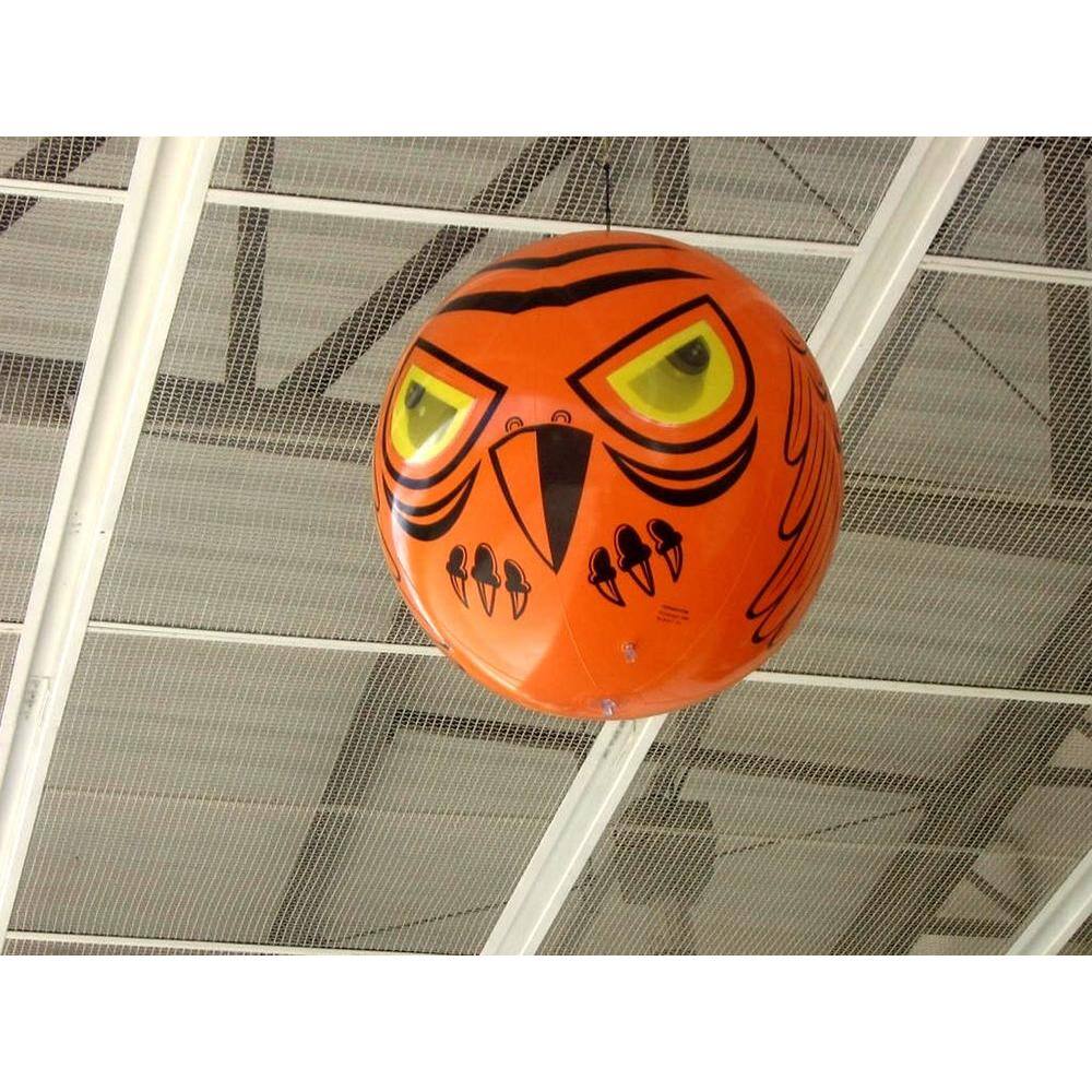 Terror Eyes Bird Chaser - Hercitys