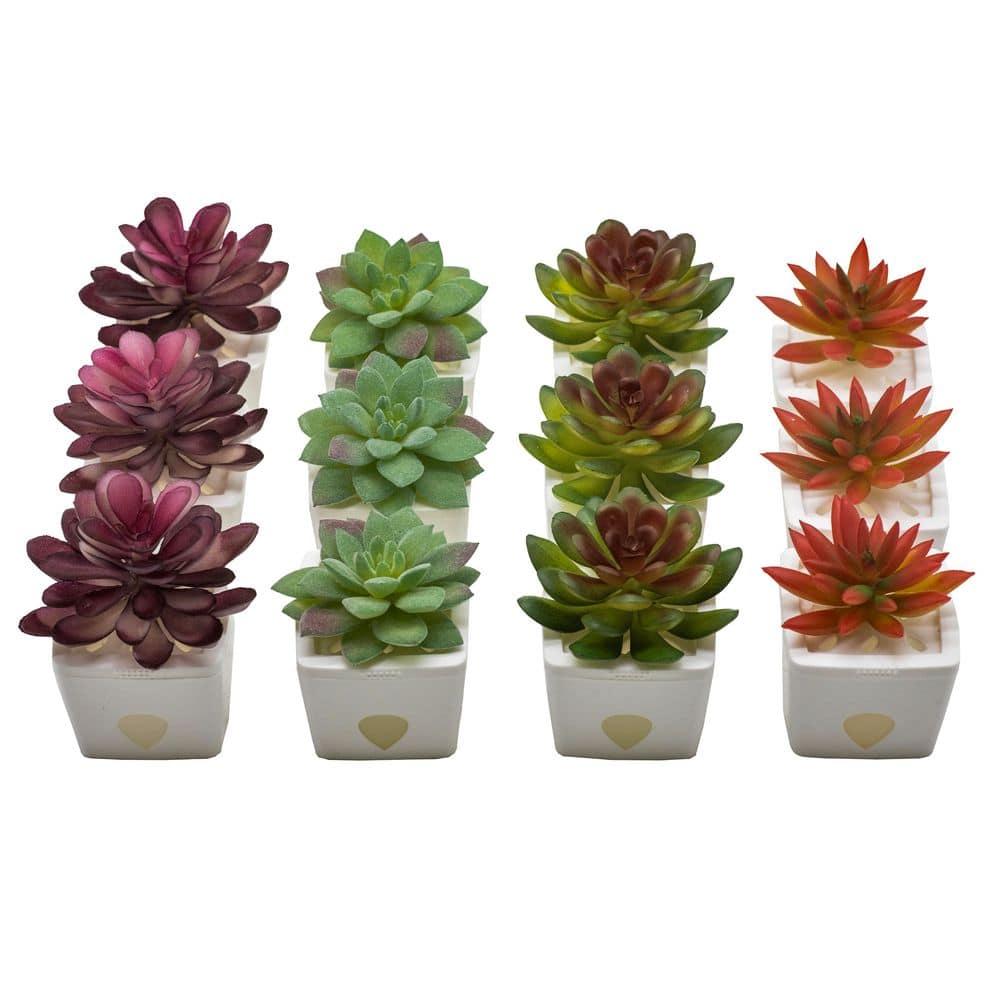 Shop By Department/Lawn & Garden/Insect & Pest Control/Shop All Insect & Pest Control - Hercitys