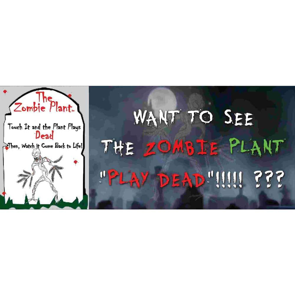 Zombie Plant Seed (2-Piece) - Hercitys