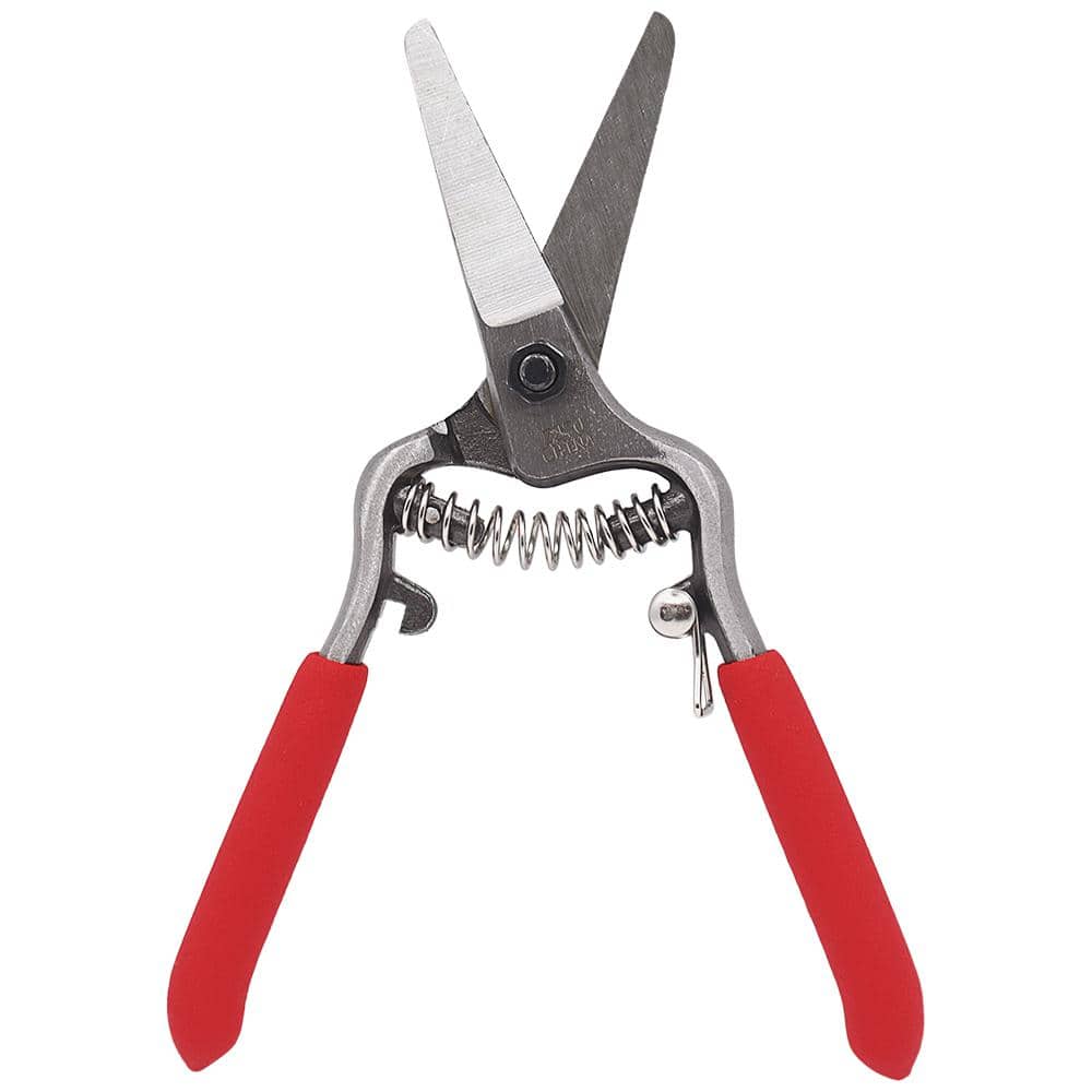 Needlenose Shear, Bonsai and Orchids, Mini 6 in. Forged Straight Blade (Box of 3) - Hercitys