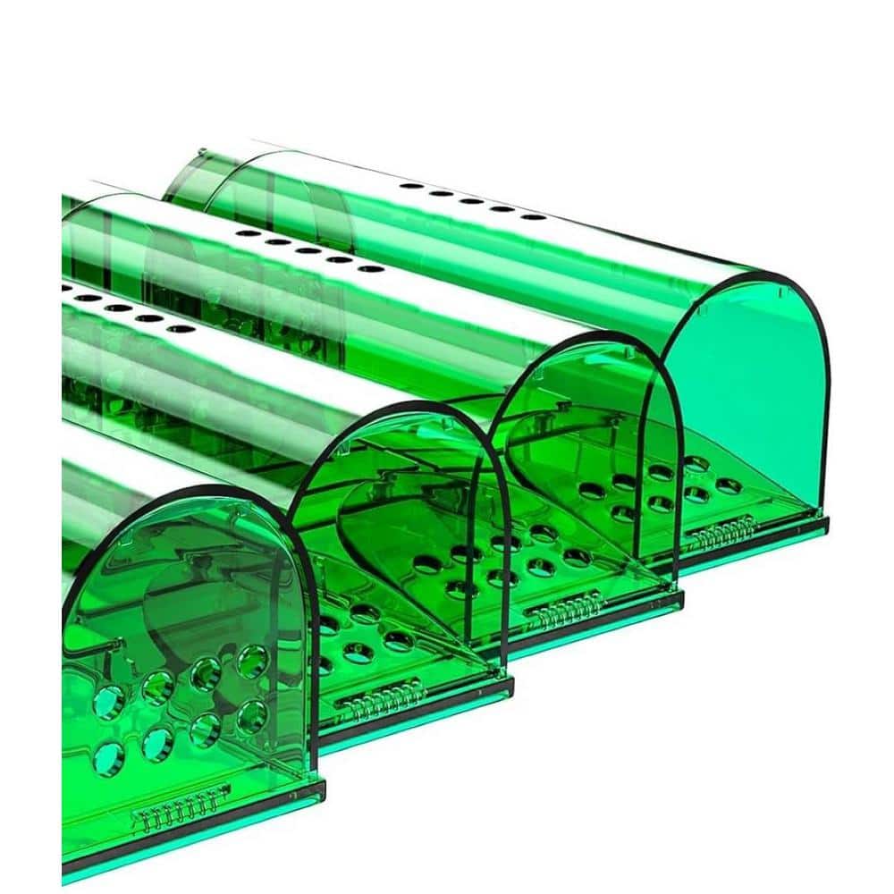 Outdoor/Indoor Mouse Traps Humane Catch and Release Pet Safe Mice Trap, Live Mouse Trap No Kill (4-Pack) - Hercitys