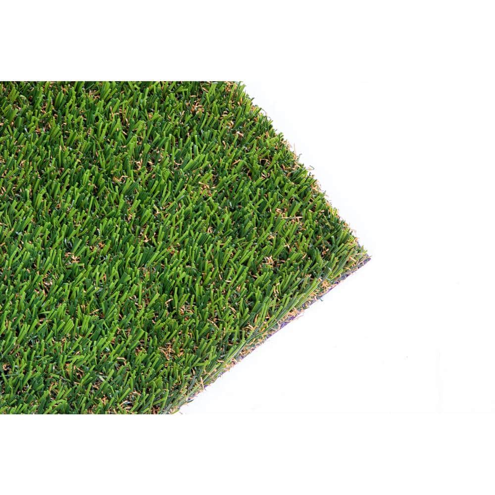 Allure 15 ft. Wide x Cut to Length Meadow Green Artificial Grass - Hercitys