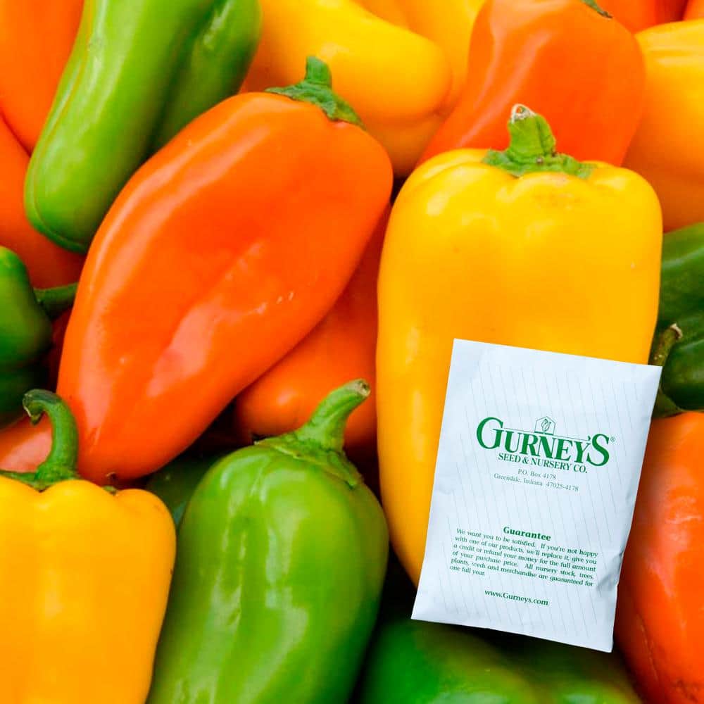 Shop By Department/Lawn & Garden/Seeds/Shop All Seeds - Hercitys