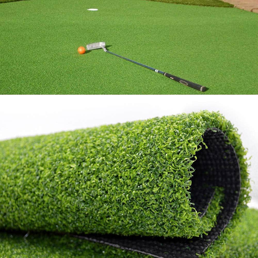 GOLF Putting Green 9 ft. W x Cut To Length Green Artificial Grass Turf - Hercitys