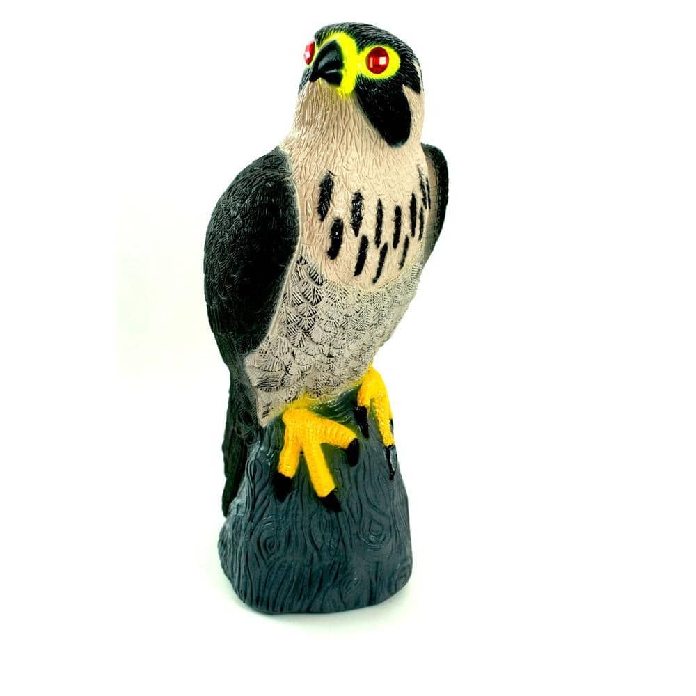 Falcon Predator Decoy Bird Repellent Scare Pigeons - Hercitys