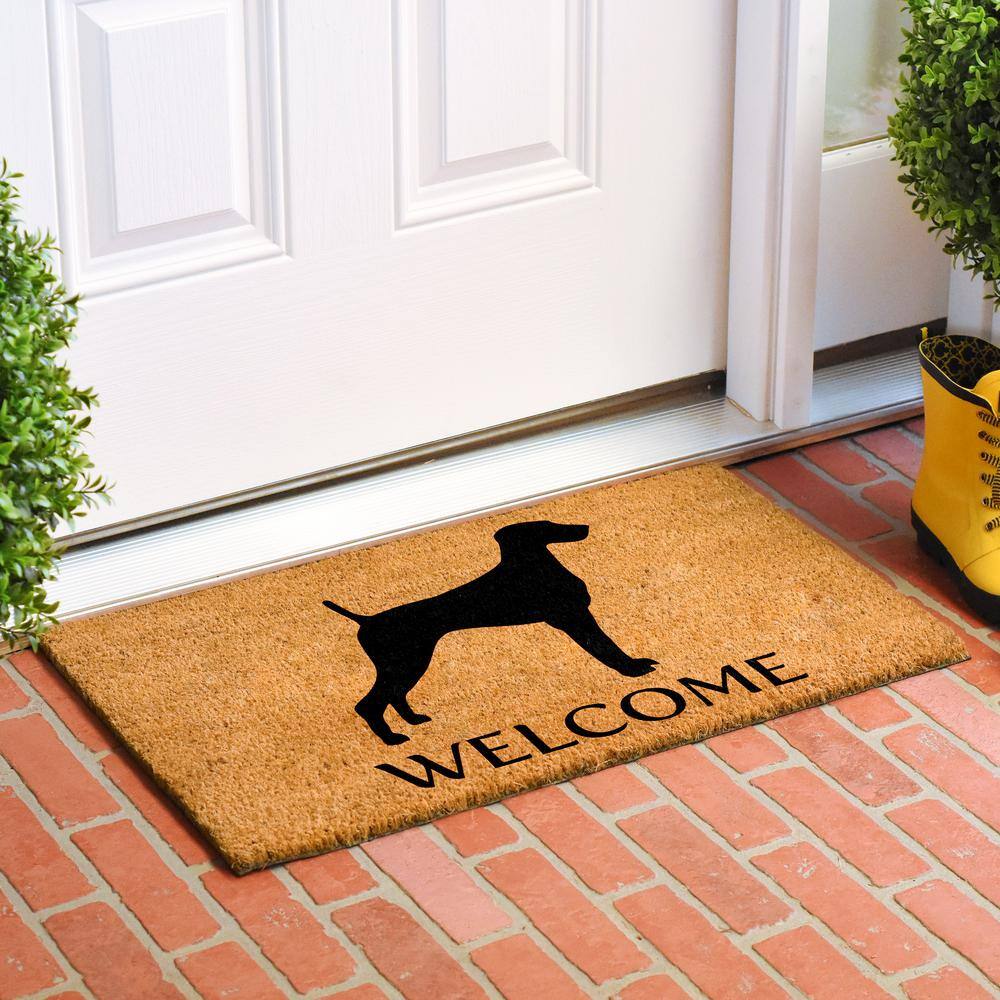 Weimaraner Doormat 24″ x 36″ - Hercitys