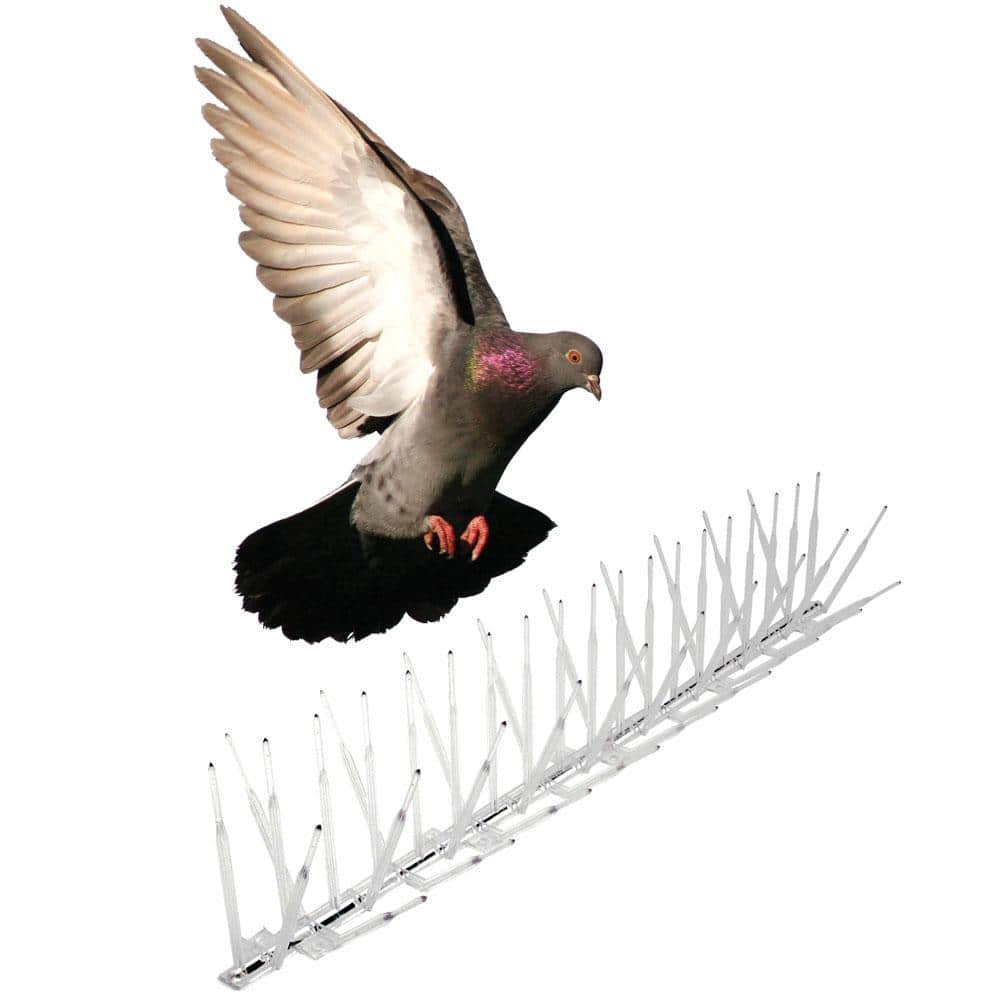 Clear Plastic Bird Spike – 50 ft. x 5 in. - Hercitys