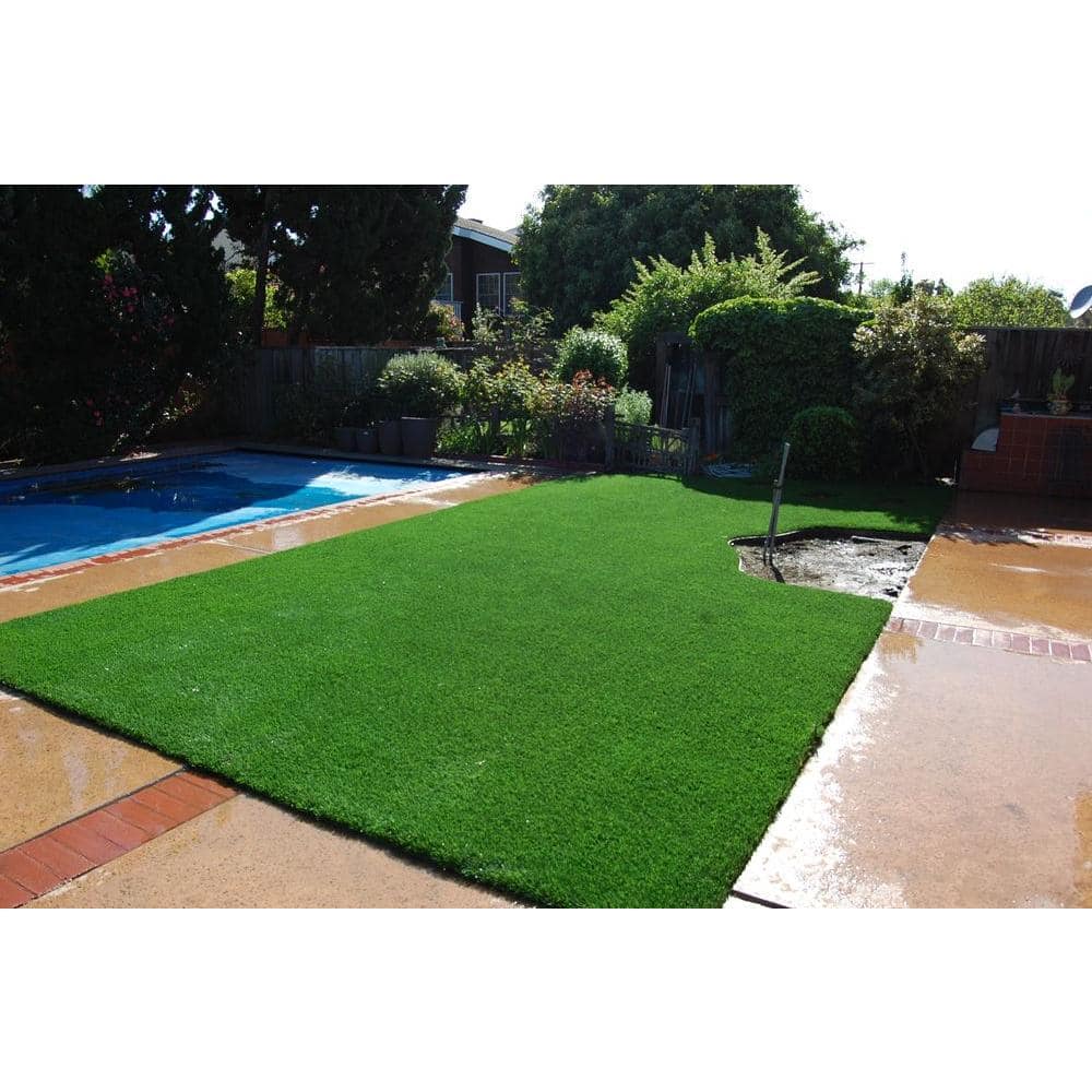 Classic Premium 65 Fescue 7.5 ft. W x Cut to Length Green Artificial Grass Turf - Hercitys