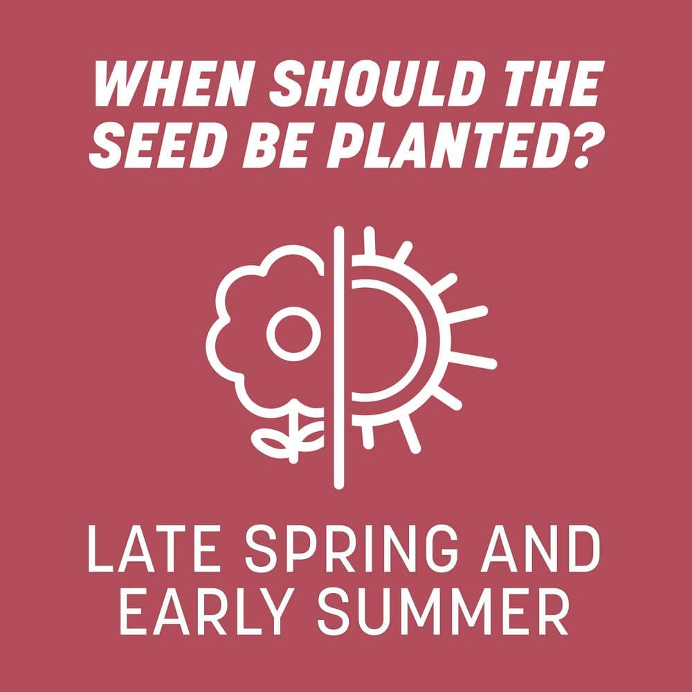 Zenith Zoysia 5 lb. 1,000 sq. ft. Grass Seed and Mulch - Hercitys