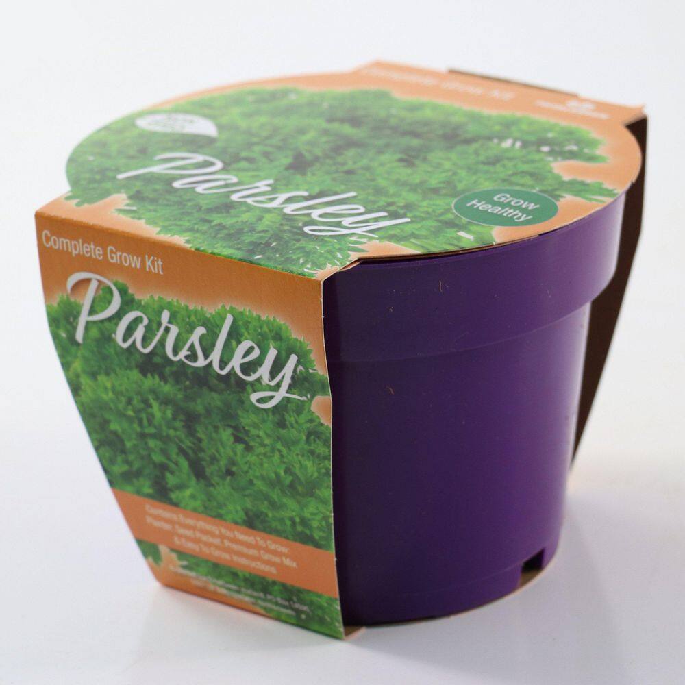 6.1 in. Parsley Healthy Seed Grow Kit - Hercitys