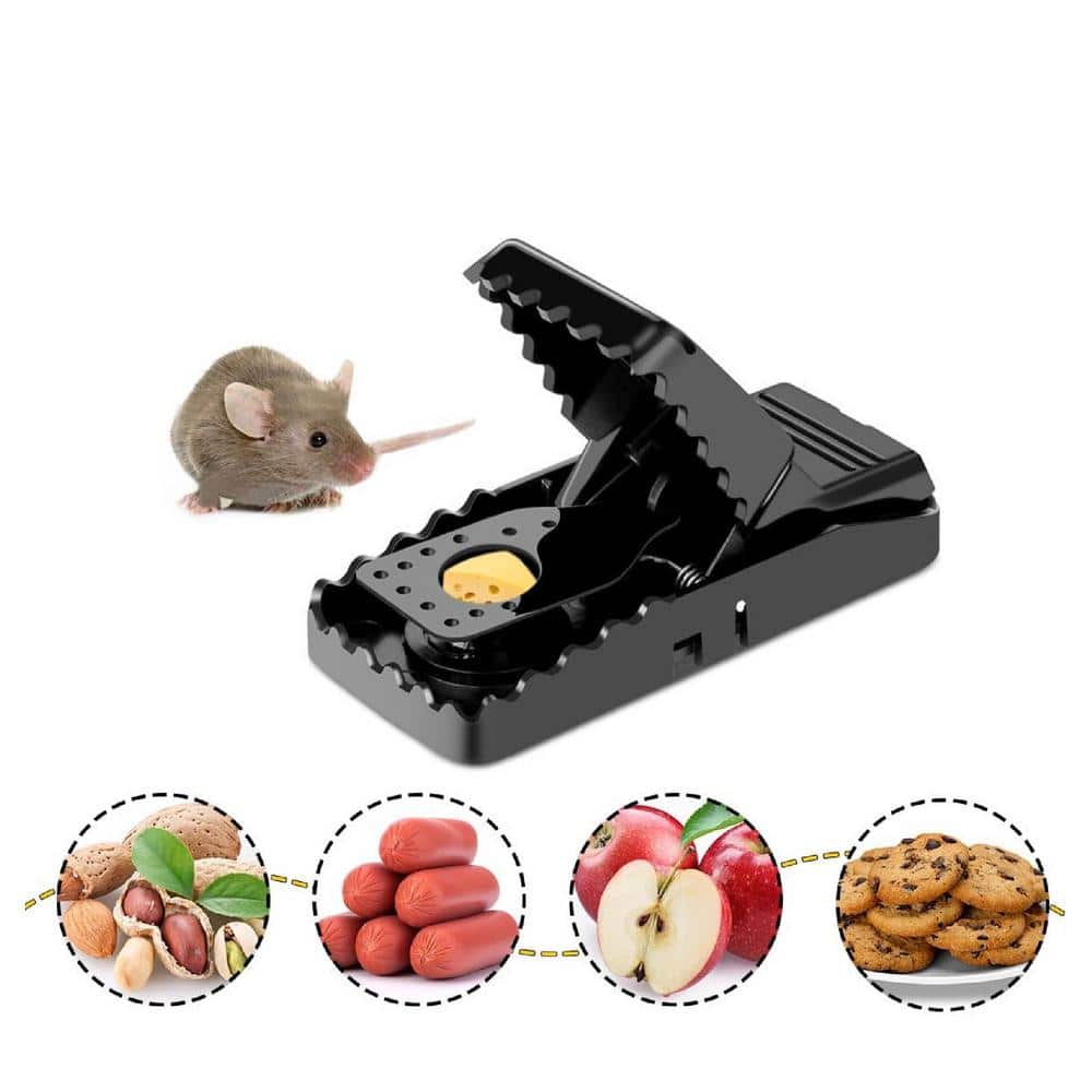 Indoor/Outdoor Mouse Rat Trap Best Snap Traps for Mouse/Mice Safe and Quick Kill Mice Traps, Black Finish (6-Pack) - Hercitys
