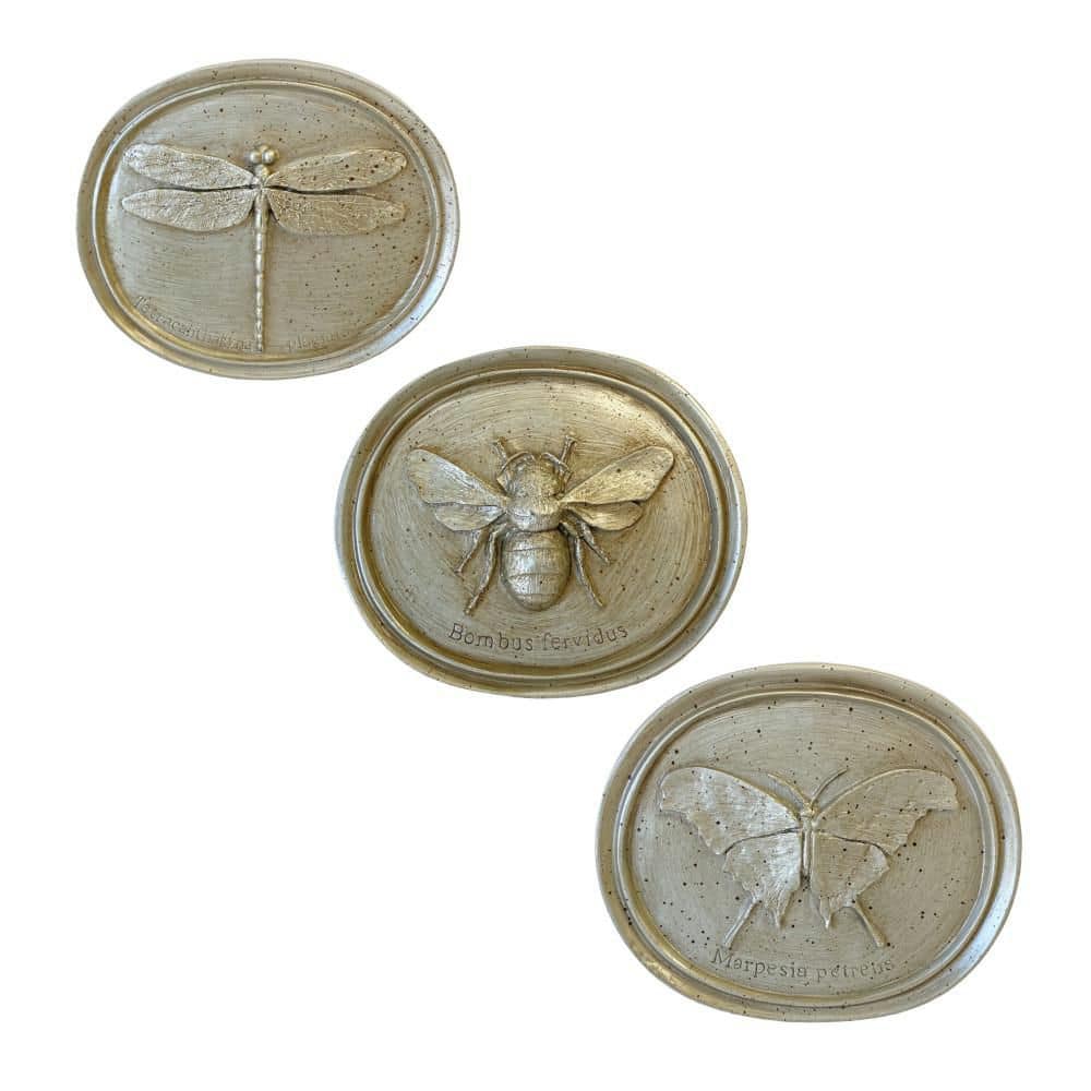 Cristal Color Resin 8 in. W x 7 in. H Oval Entomology Insect Plaques, Home Wall Decor (Set of 3) - Hercitys