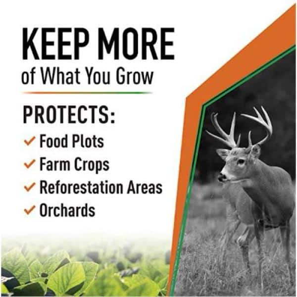 White Fiberglass Stakes, 30 Pack - Hercitys