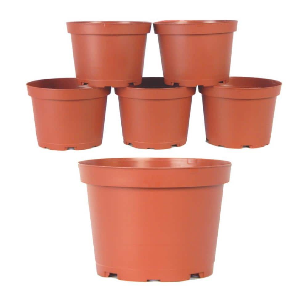 6 in. Plastic Round Pot (6-Pack) - Hercitys