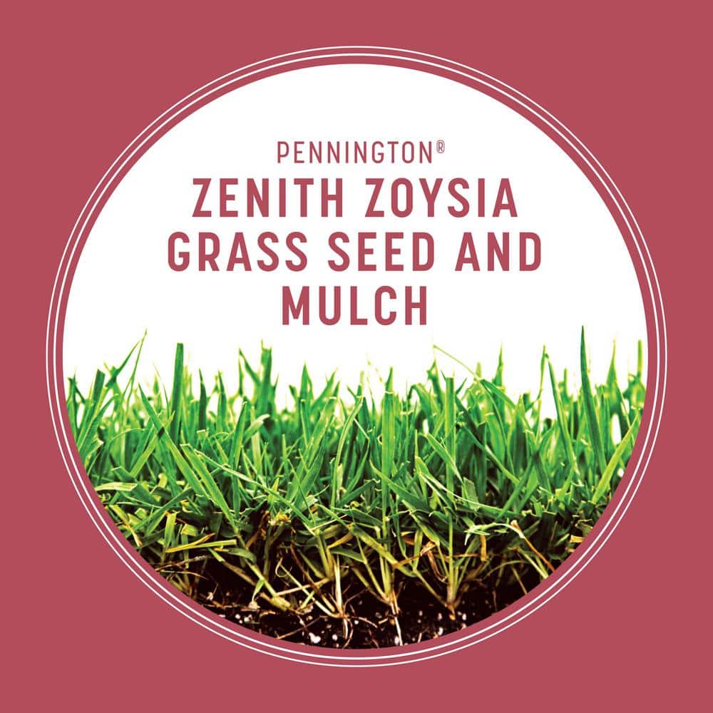 Zenith Zoysia 5 lb. 1,000 sq. ft. Grass Seed and Mulch - Hercitys