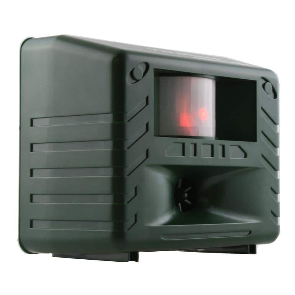 Shop By Department/Lawn & Garden/Insect & Pest Control/Rats - Hercitys