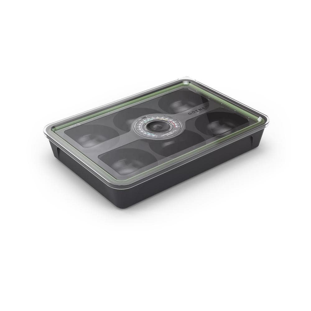 Dough Tray - Hercitys