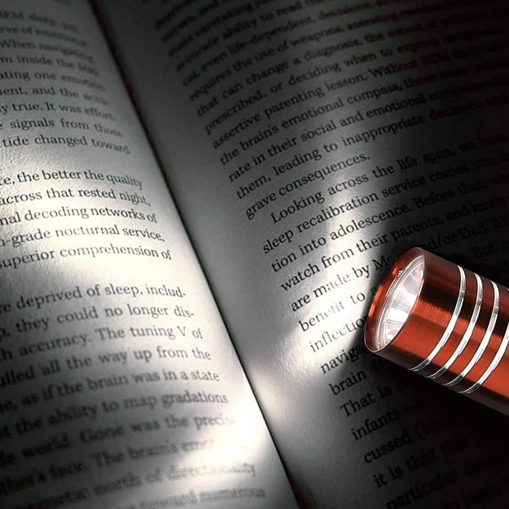 60 Lumens Aluminum Flashlight (8-Pack) - Hercitys