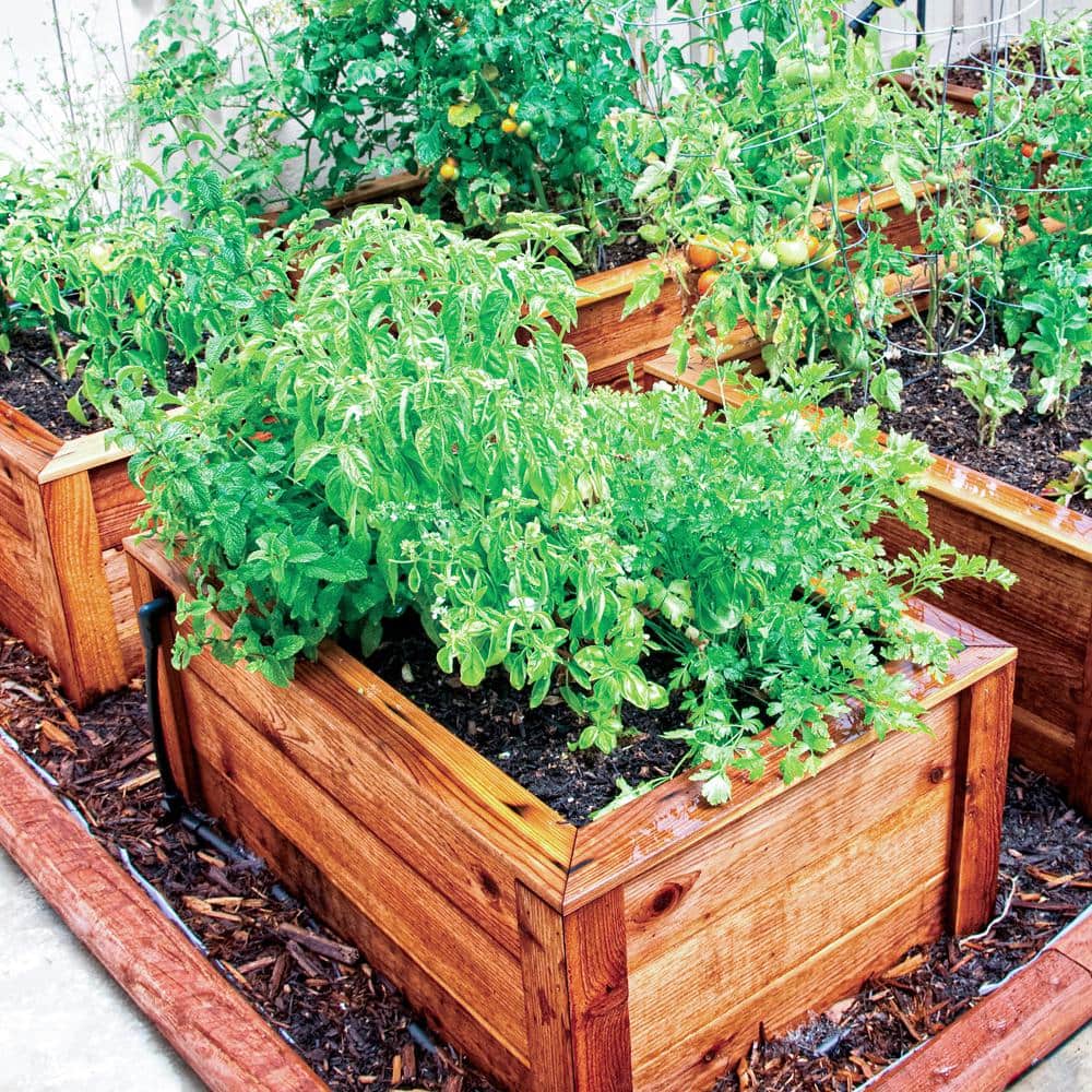 Raised Bed Garden Drip Irrigation Kit - Hercitys